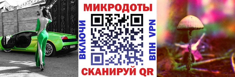 где можно купить наркотик  Дальнегорск  Галлюциногенные грибы Psilocybe 